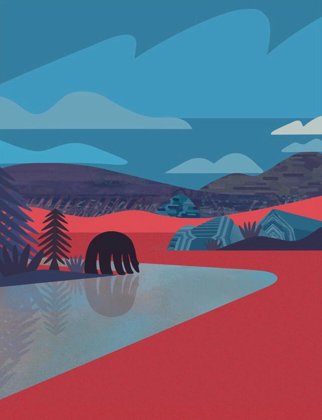 Reflection Reflection