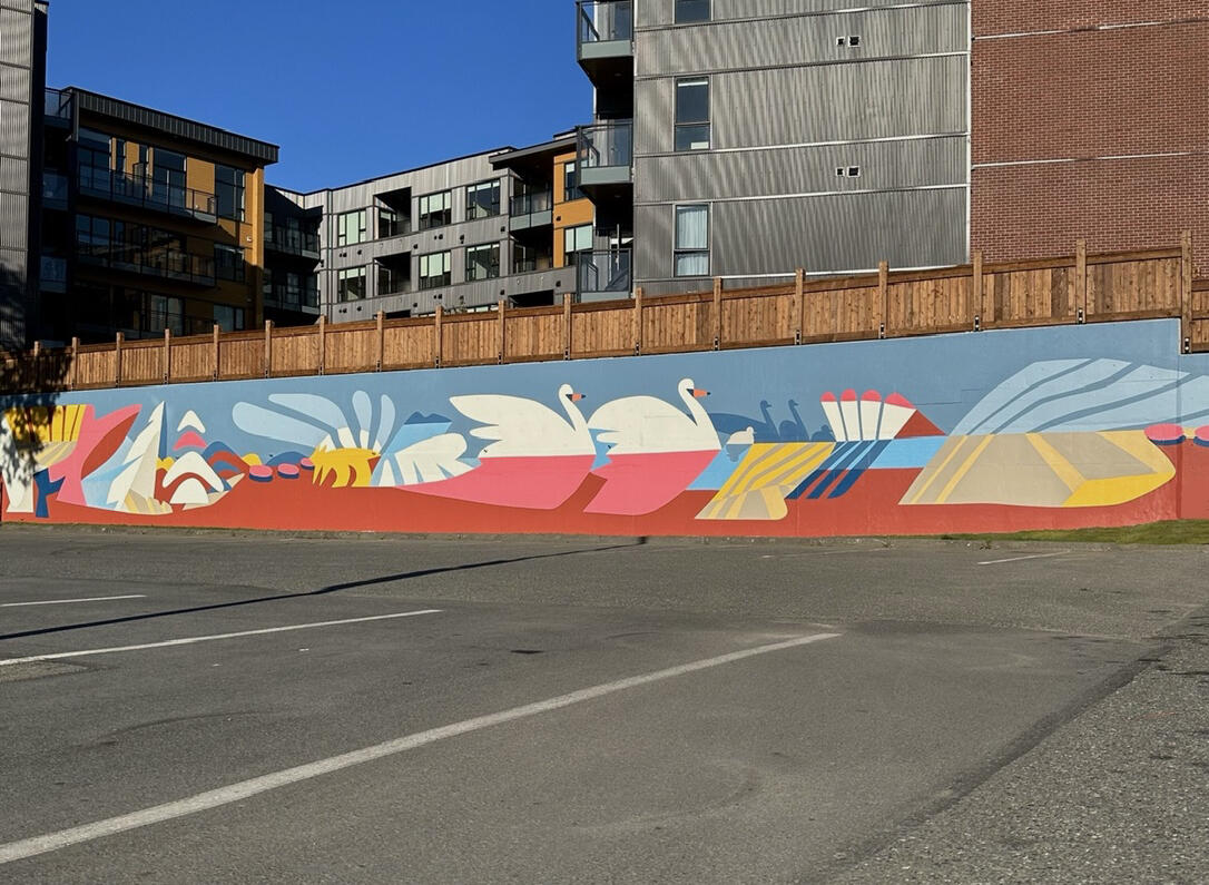 Shadow and Reflection Shadow and Reflection